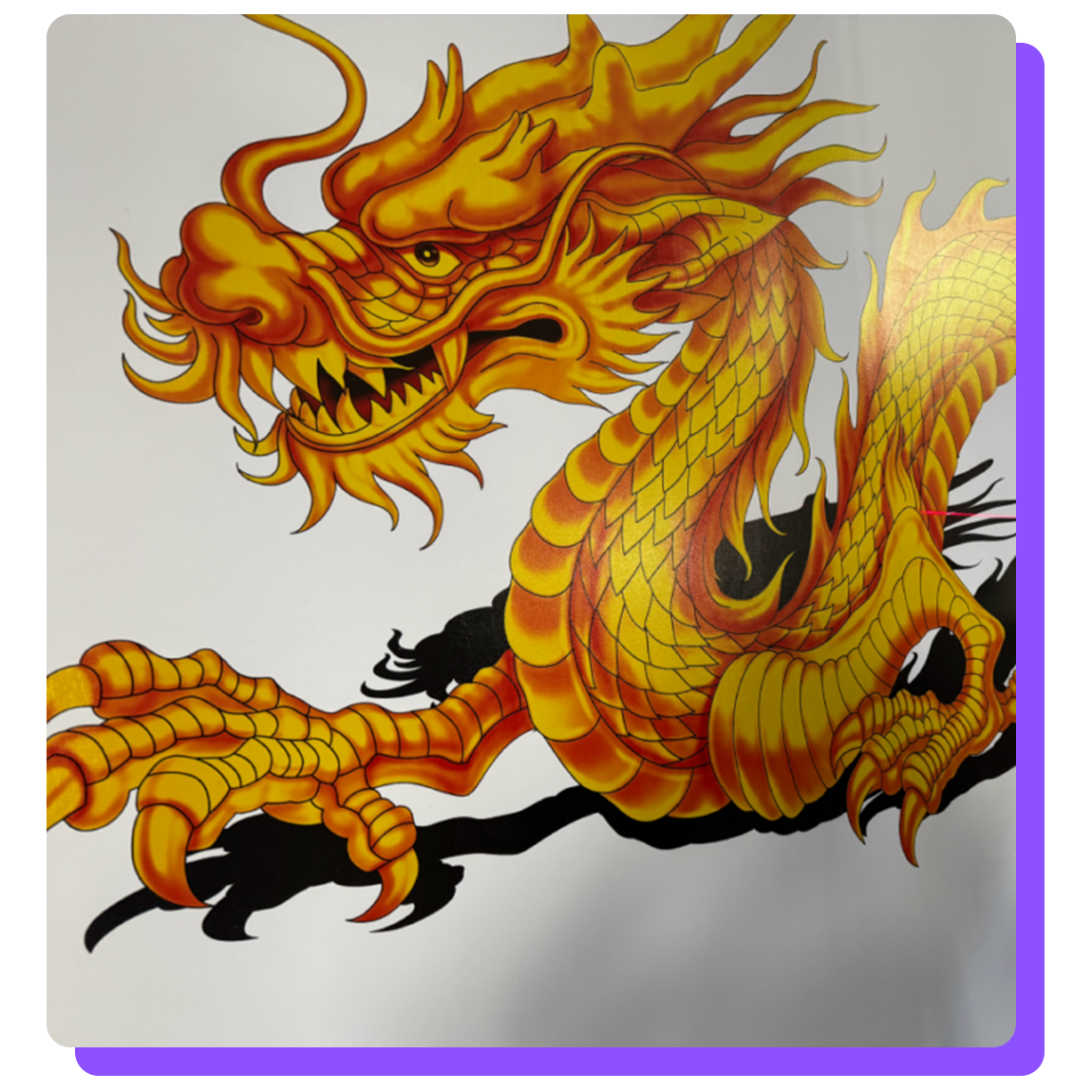 WallFlow – Wall Printers