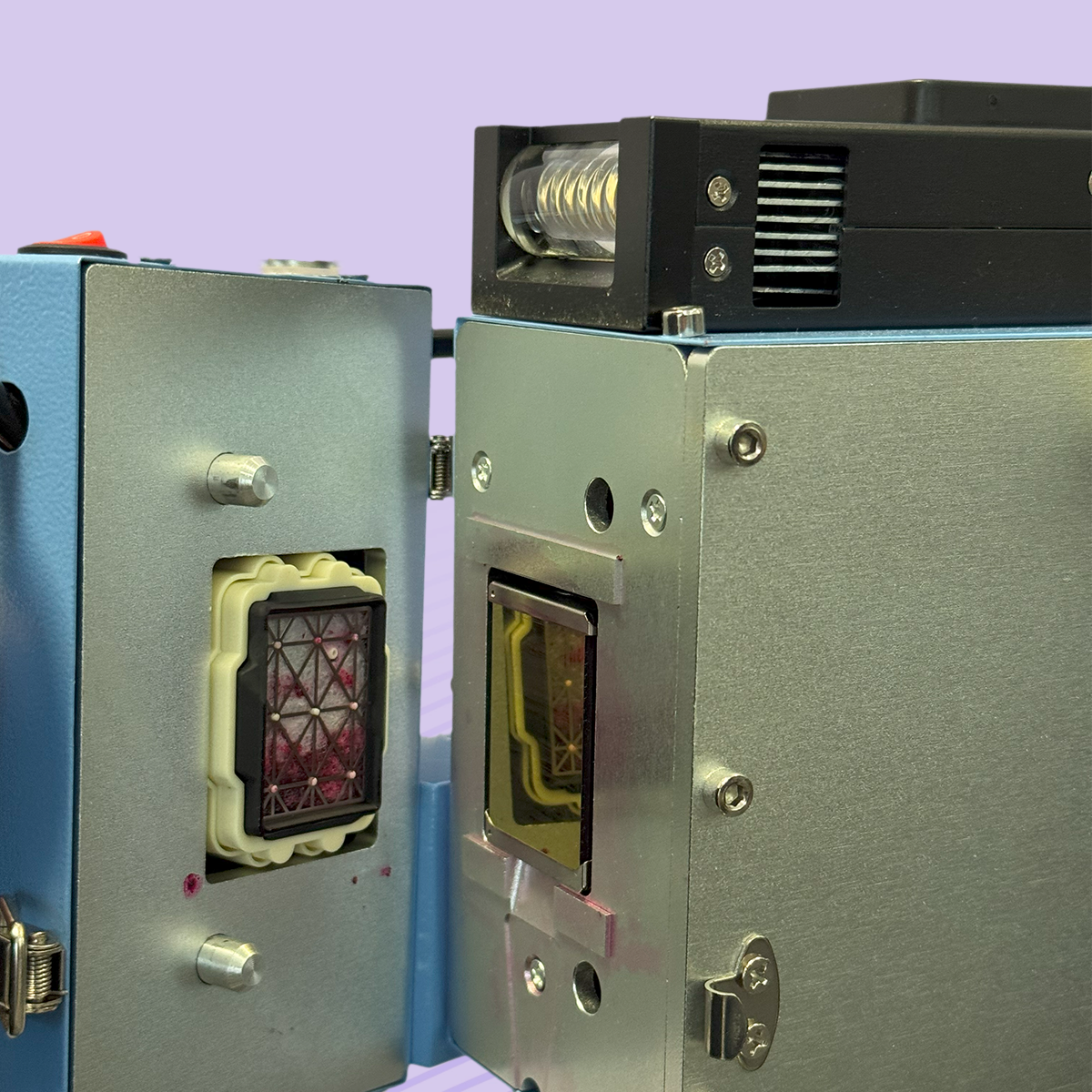 WALLFLOW - Box Produktowy [8]